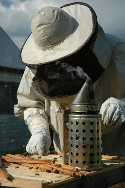 Beekeeper,养蜂,仅一个男人