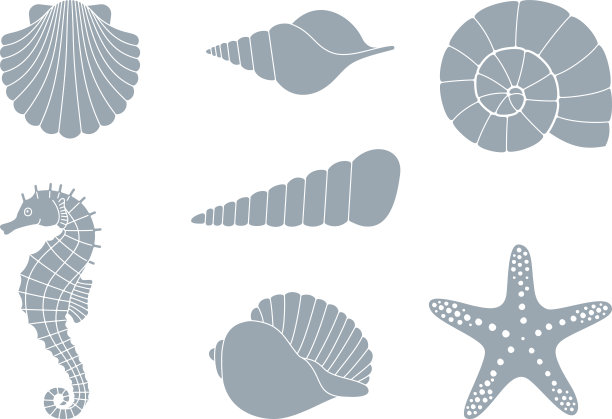 shells
