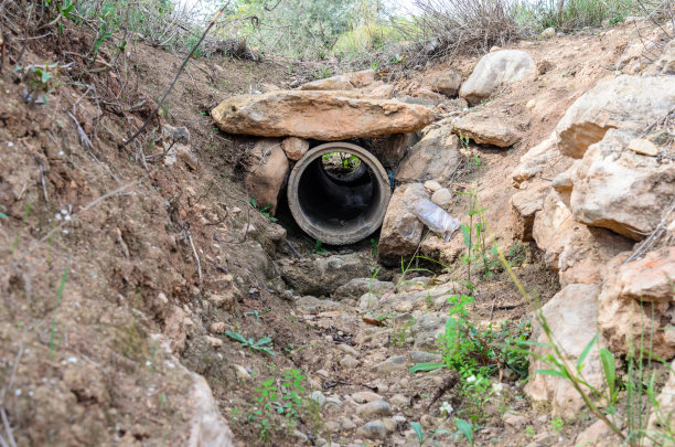 ditch