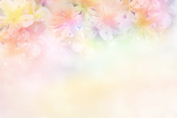 粉色花卉边框