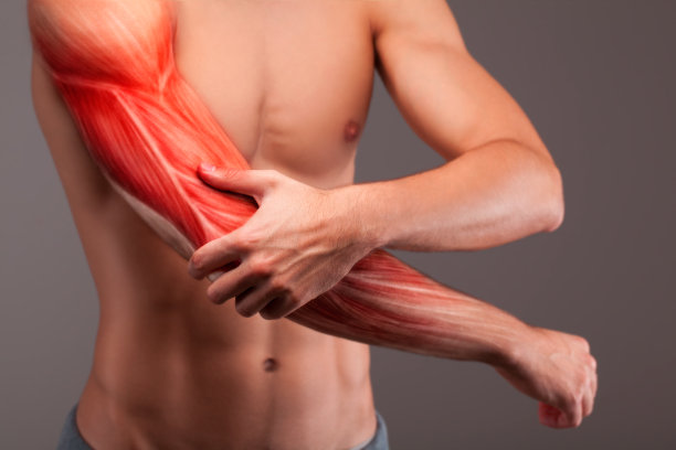 arms