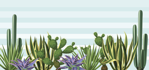 cacti