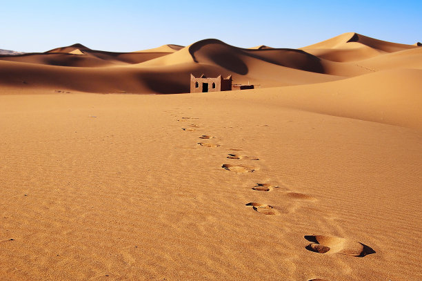 沙漠,沙