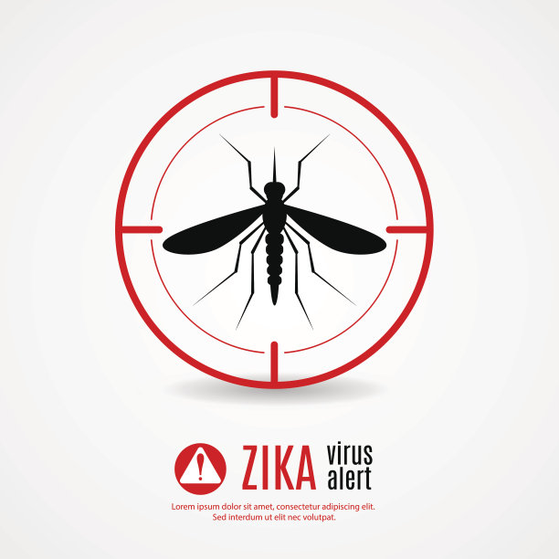 mosquito