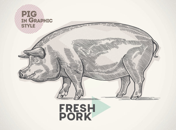 pig