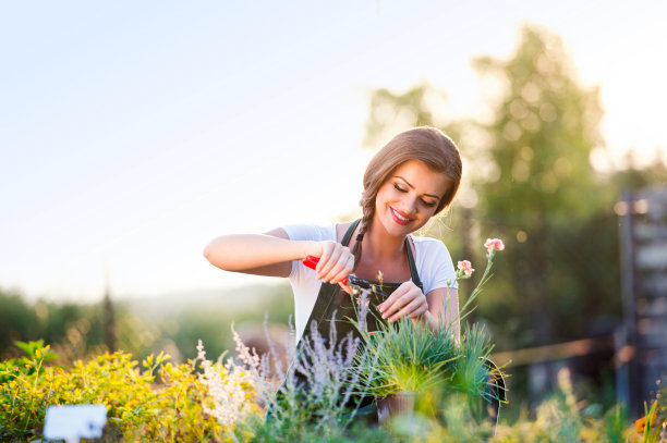 horticulture
