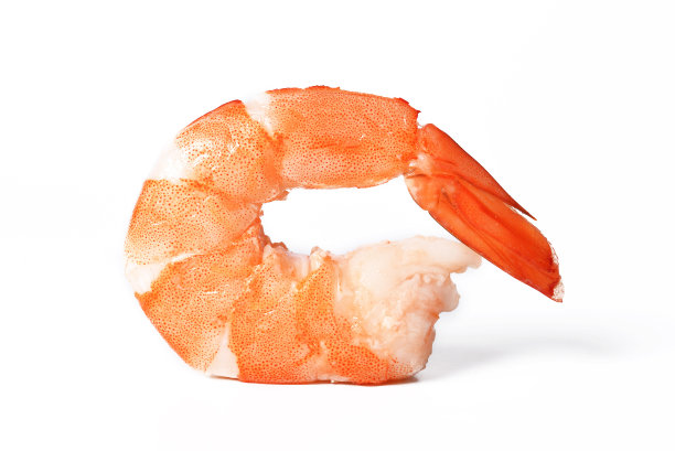 shrimps