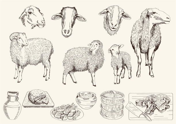 lamb