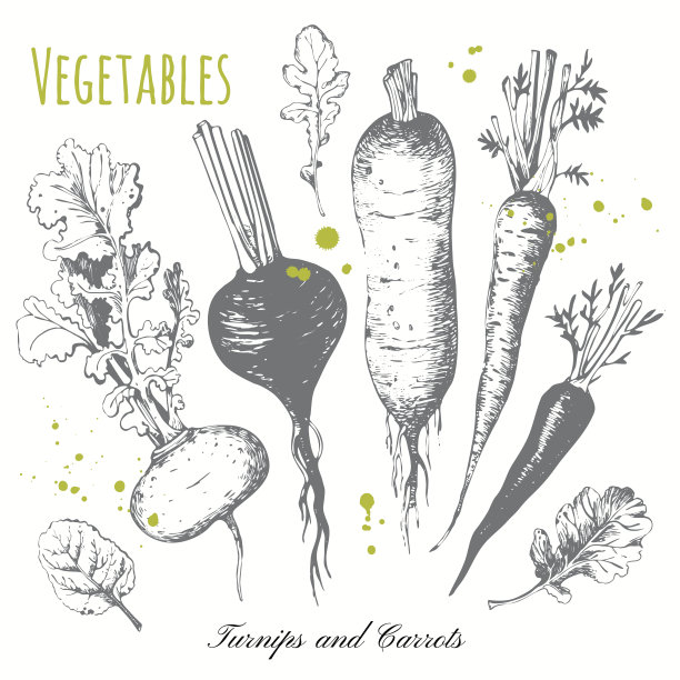 radishes