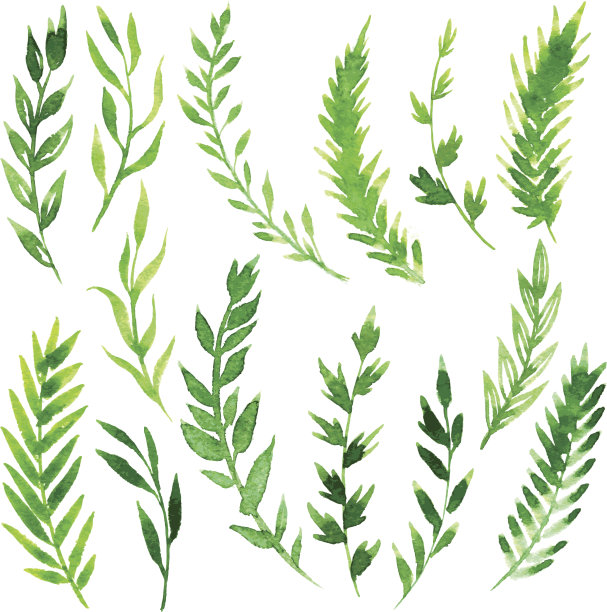 水彩抽象花卉背景图案