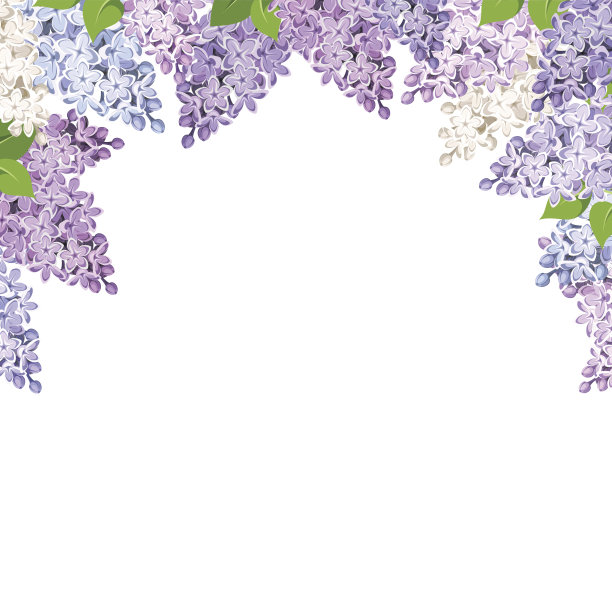 lilac