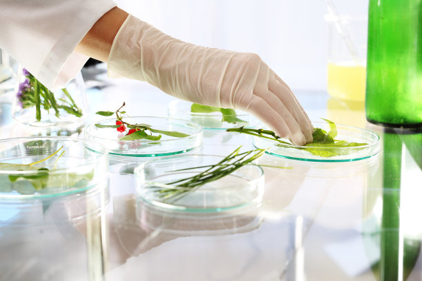 生物科技,转基因,遗传研究