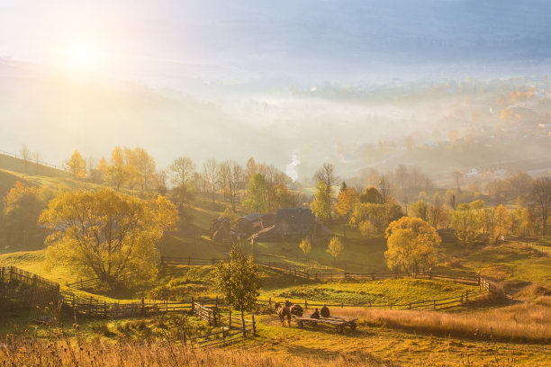 乡村田园风景油画