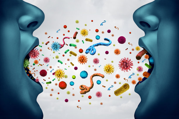 bacteria
