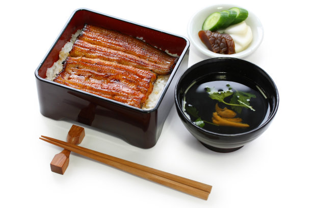 eel