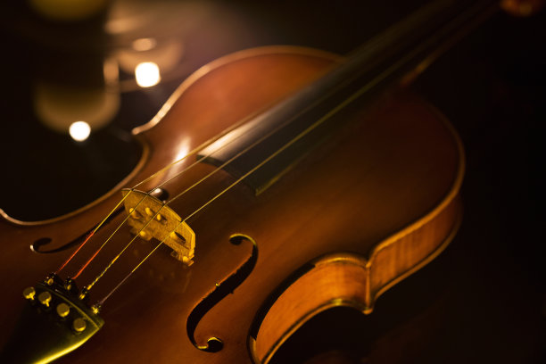 violin