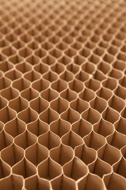 cardboard