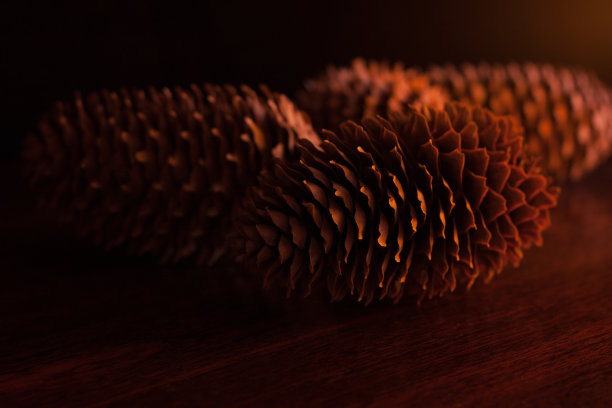 红黑色暗调抽象背景