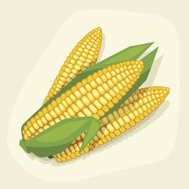 maize