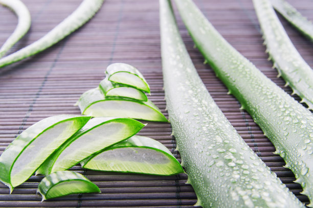 aloe