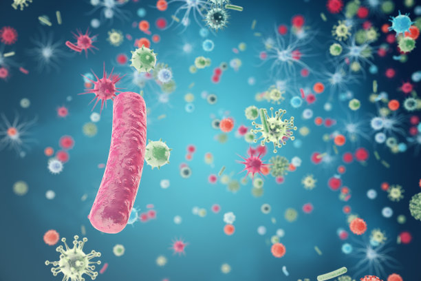 bacteria