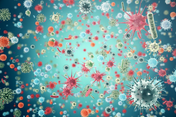 bacteria