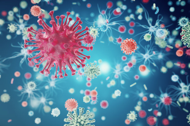 bacteria
