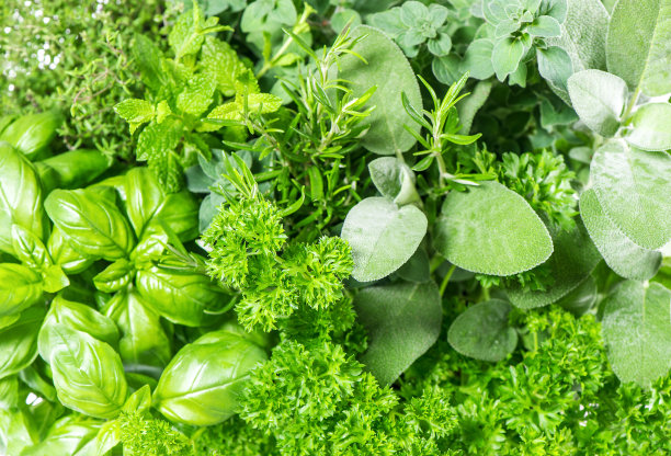 herbs