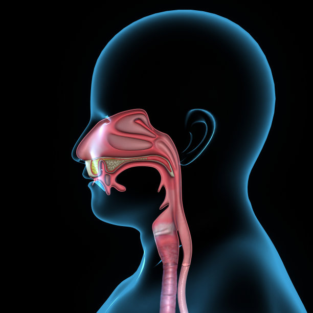mouth
