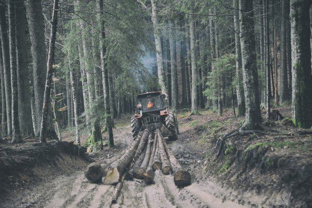 林业拖拉机