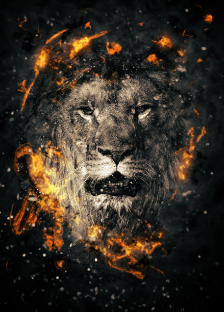lion