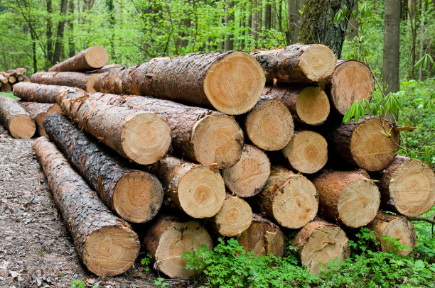 log
