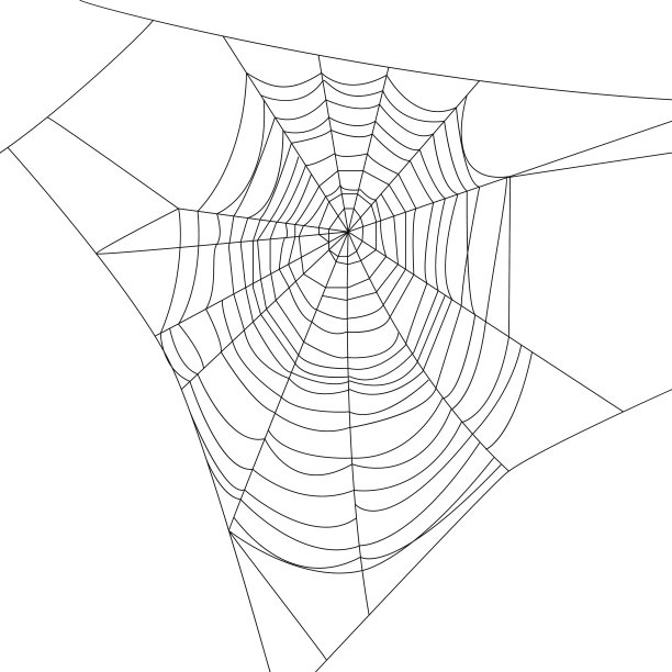 万圣节蜘蛛和蜘蛛网 