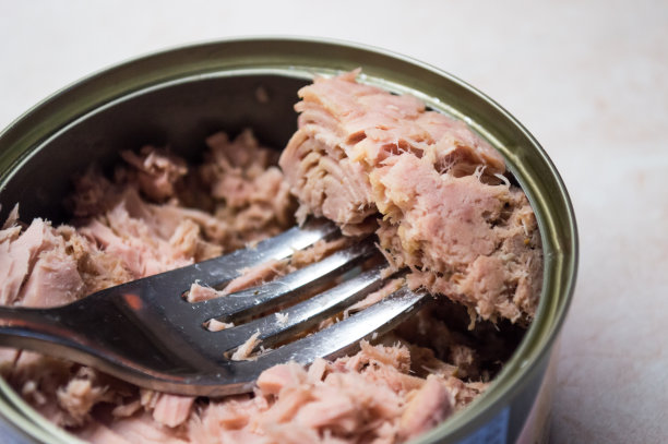 tuna