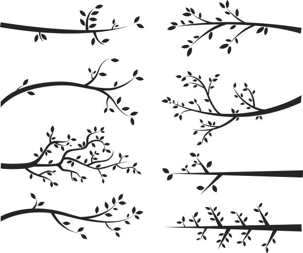 branches