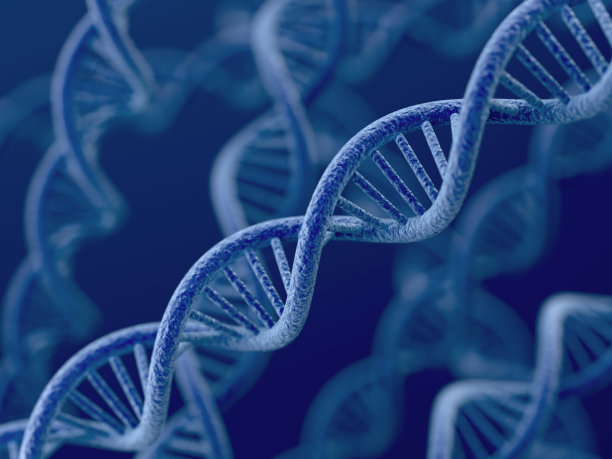 gene