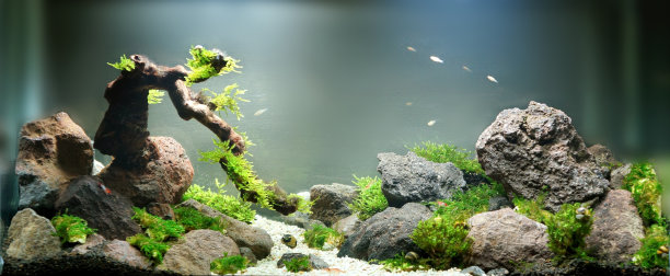 aquarium