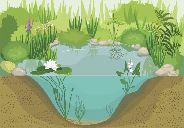 ponds