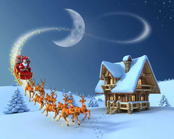 reindeer