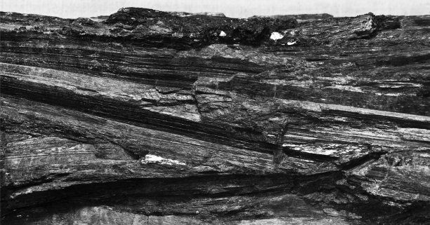 coal
