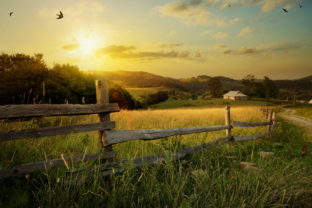 farm