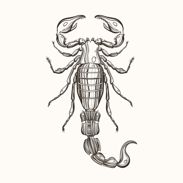scorpio