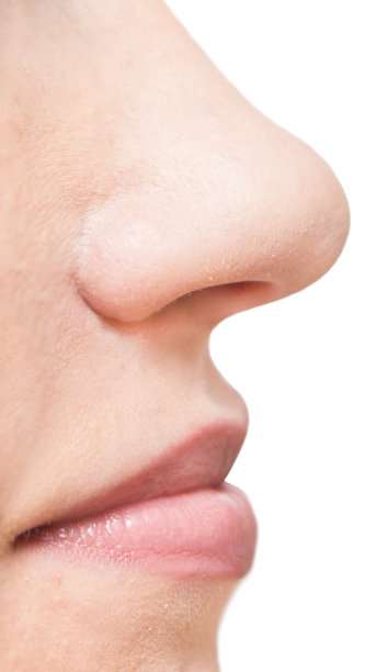 nose