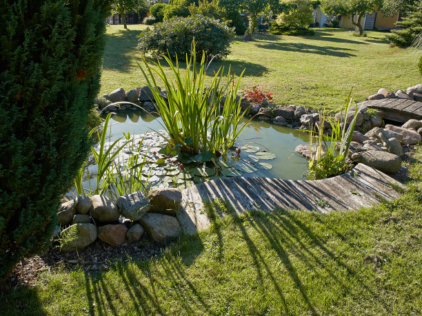ponds
