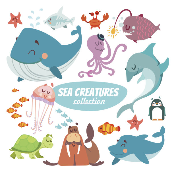 海洋生物插画