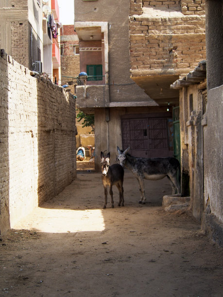 cairo