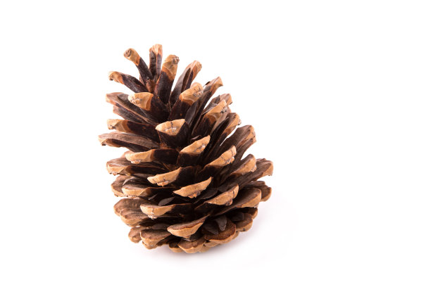 cone