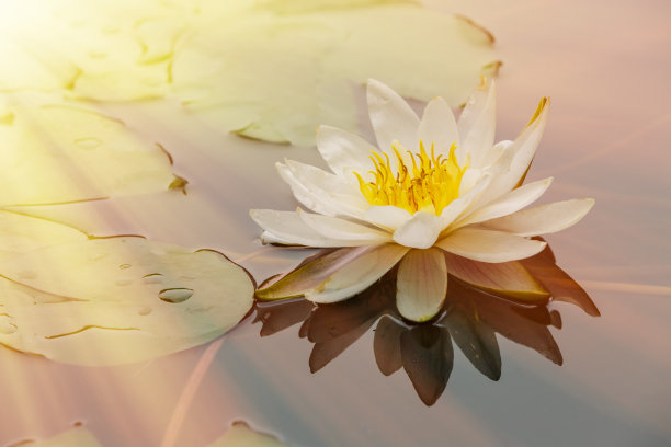 zen