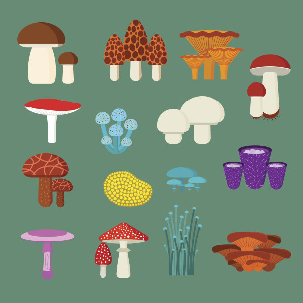 toadstool