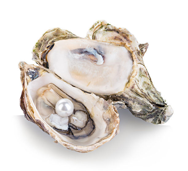 mussels